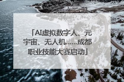 AI虚拟数字人、元宇宙、无人机……成都职业技能大赛启动